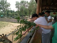 android_upload_pic-石家庄市动物园