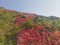 -木兰云雾山