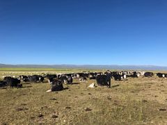 -青海湖国家重点风景名胜区