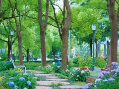 -东怡大酒店(上海科技馆店)