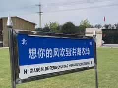 -洪湖家庭农场·团建·露营·会议
