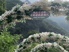 -武陵山森林公园