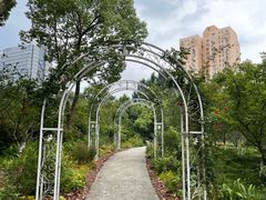 -黄兴公园