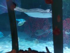 -沈阳海洋探索中心