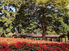 -广州市流溪河国家森林公园