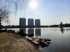 -南翔镇银翔湖公园