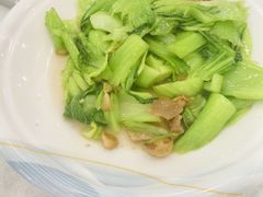 -姚林轩