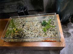 -新盈光·旗舰店(海曙苍松路店)