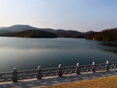-佛手湖郊野公园