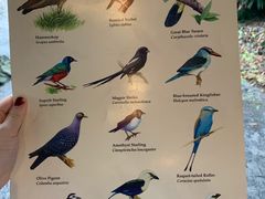 -奥兰多迪士尼动物王国乐园