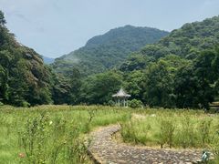 -广州市石门国家森林公园