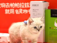 -帕帕拉兹宠物(亚洲旗舰店)