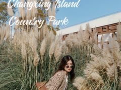 -上海长兴岛郊野公园