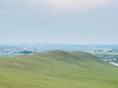 -诺敏塔拉奶茶-布里亚特包子-手把肉(锦都会店)