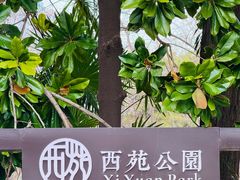 -西苑公园