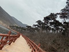 -徂徕山森林康养度假谷温泉