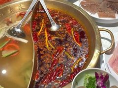 -小龙坎火锅(总店)