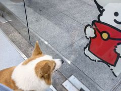-顽皮家族·深度医疗转诊中心医院·核磁·CT影像中心(虹桥总店)