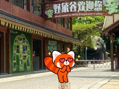 -野象谷景区