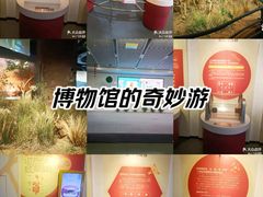 -扬州科技馆