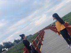 -北海金海湾红树林生态旅游区