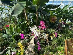-石家庄市植物园