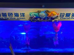 -成都浩海立方海洋公园