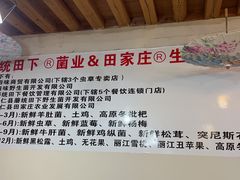 -蘑统田下·野生菌火锅