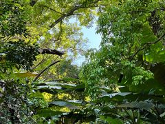 -梧桐山风景名胜区