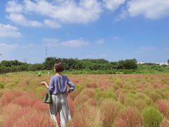 -映月湖中央公园