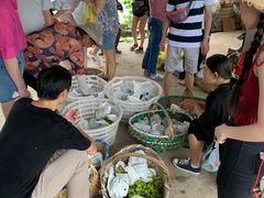 -马陆小张葡萄园农家乐