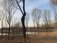 -东郊湿地公园