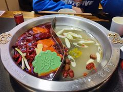 -大龙燚火锅(春熙店)