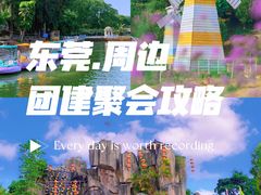 -松山湖南湖湾露营营地