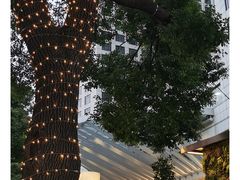 -威斯汀舞台餐厅