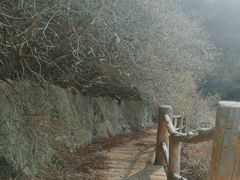 -木兰云雾山