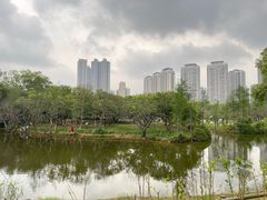 -香山湖公园
