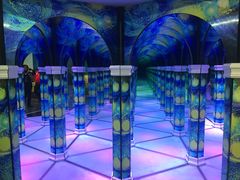 -天津梵高星空艺术馆(天河城旗舰店)