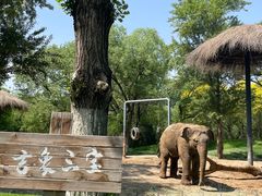 -北京野生动物园