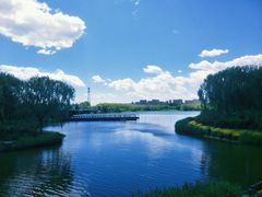 -大兴滨河森林公园