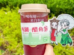 -炖物24章·顺时轻养茶(黄龙店)