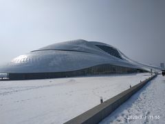 -哈尔滨大剧院