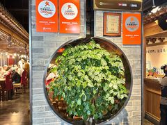 -真地道京味府·鲜橙烤鸭·北京菜(朝外大街东大桥店)