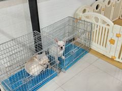 -欧亚汇集(飞跃路店)
