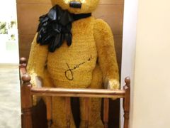 -济州岛泰迪熊博物馆