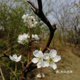 轻装上阵，去野外，去水边