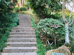 -杭州半山国家森林公园