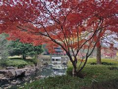 -穹窿山景区
