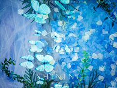 -芜湖金鹰尚美酒店