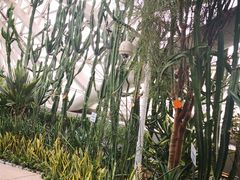 景点-西安世博园